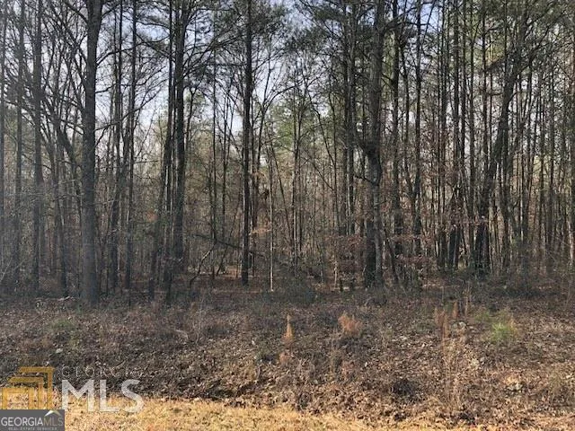 $54,900 | 0 White Laurel Lane, Unit 16, Covington, GA 30016