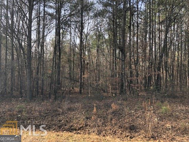 0 White Laurel Lane, Unit 16 Covington, GA 30016 - Photo 1 of 1