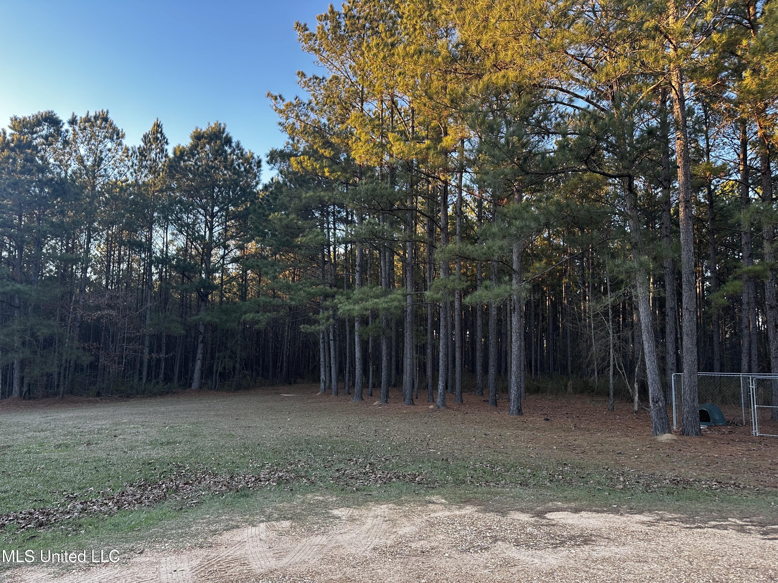 3037 Greensburg Road Liberty, MS 39645 - Photo 18 of 29 IMG_8129