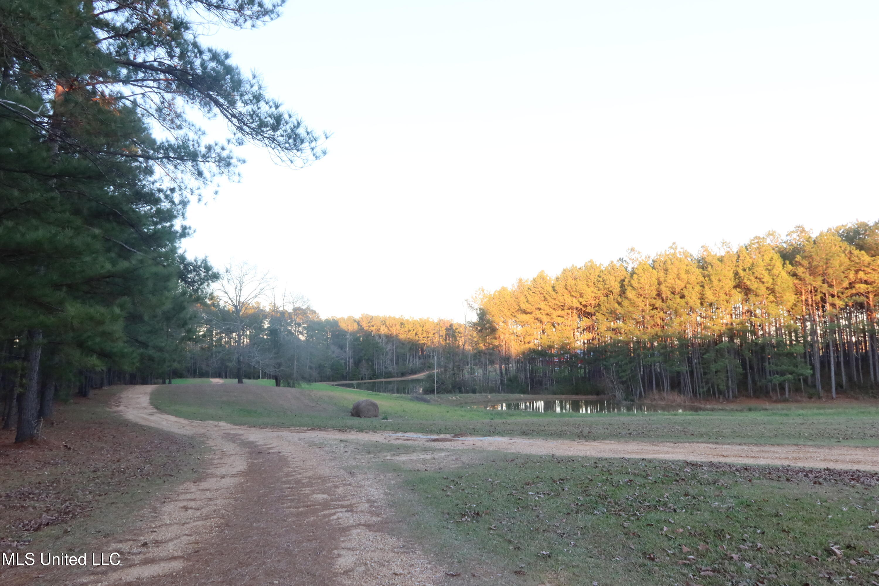 3037 Greensburg Road Liberty, MS 39645 - Photo 19 of 29 IMG_3839 2