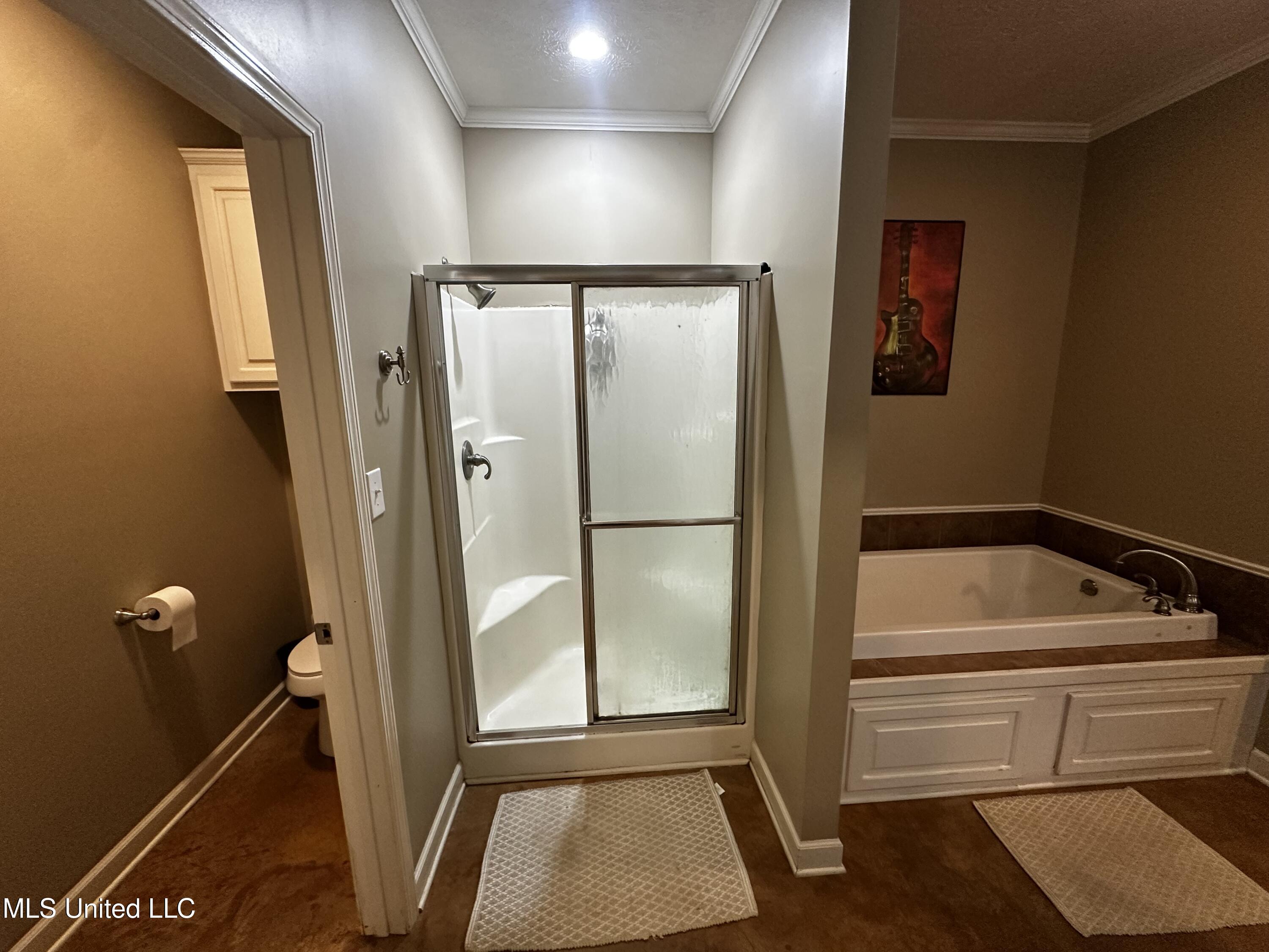 3037 Greensburg Road Liberty, MS 39645 - Photo 29 of 29 IMG_8648