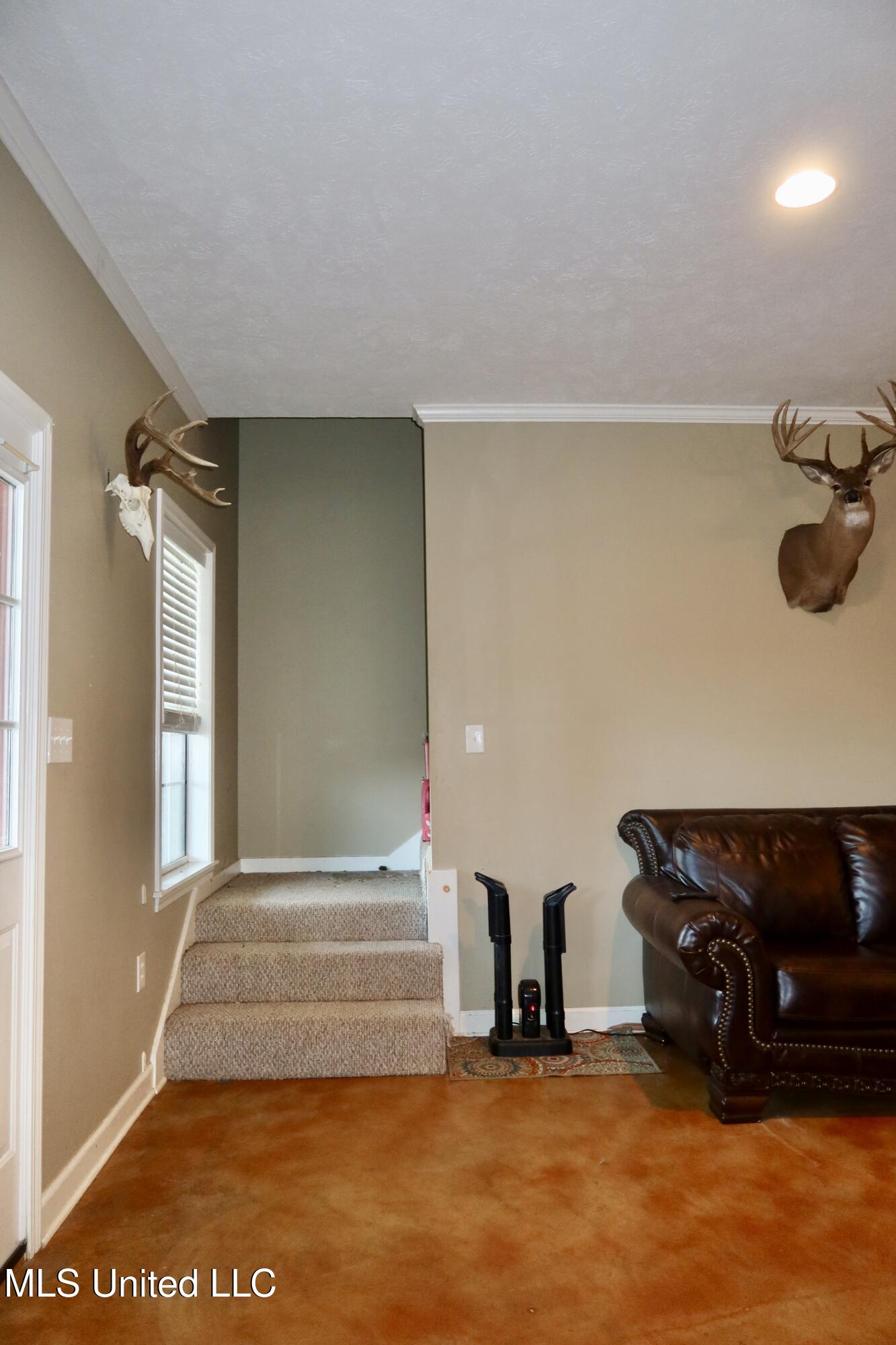 3037 Greensburg Road Liberty, MS 39645 - Photo 5 of 29 IMG_3799 2