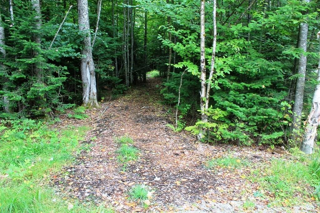 13 Tomhegan Road Rockwood, ME 04478 - Photo 7 of 10 Photo