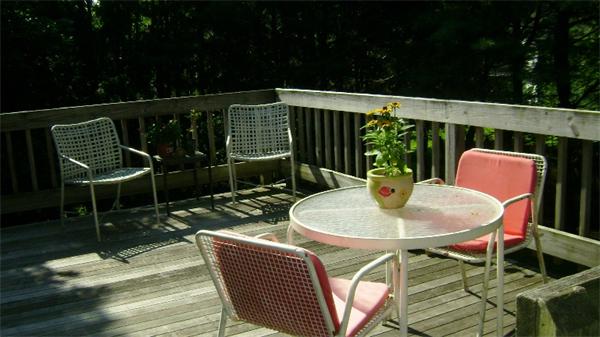 172 Damon Road Needham, MA 02494 - Photo 12 of 14 a backyard of a house with table and chairs