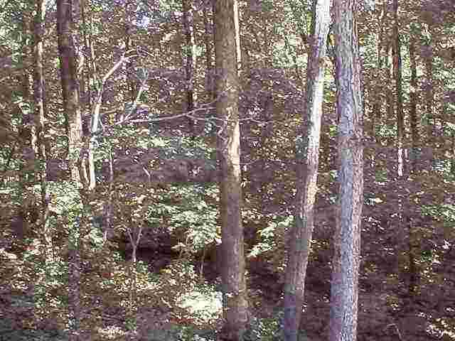 240 Ridge Road Salem, SC 29676 - Photo 1 of 4 Gallery Image 1