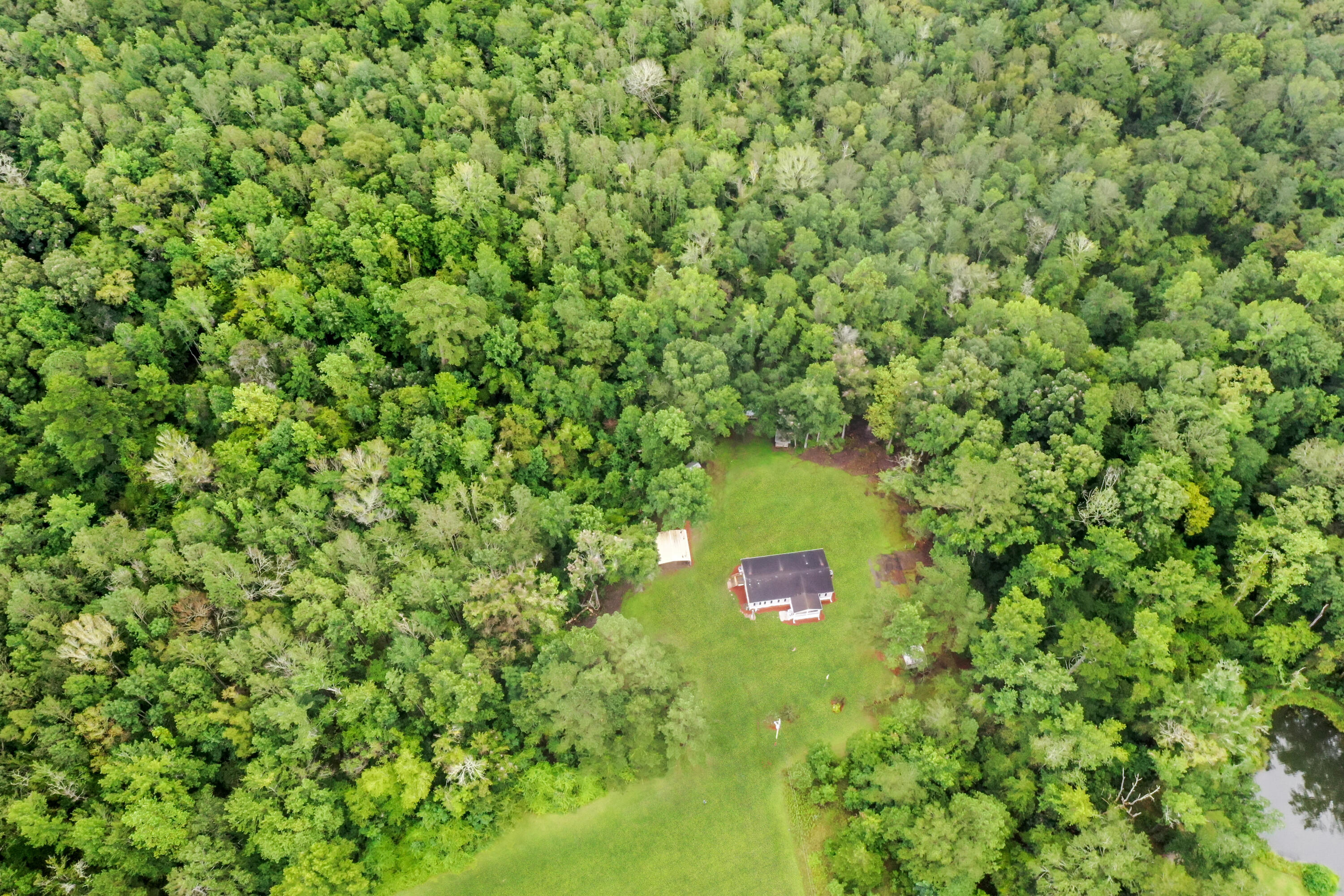 406 Red Oak Road Cottageville, SC 29435 - Photo 3 of 38 DJI_0161