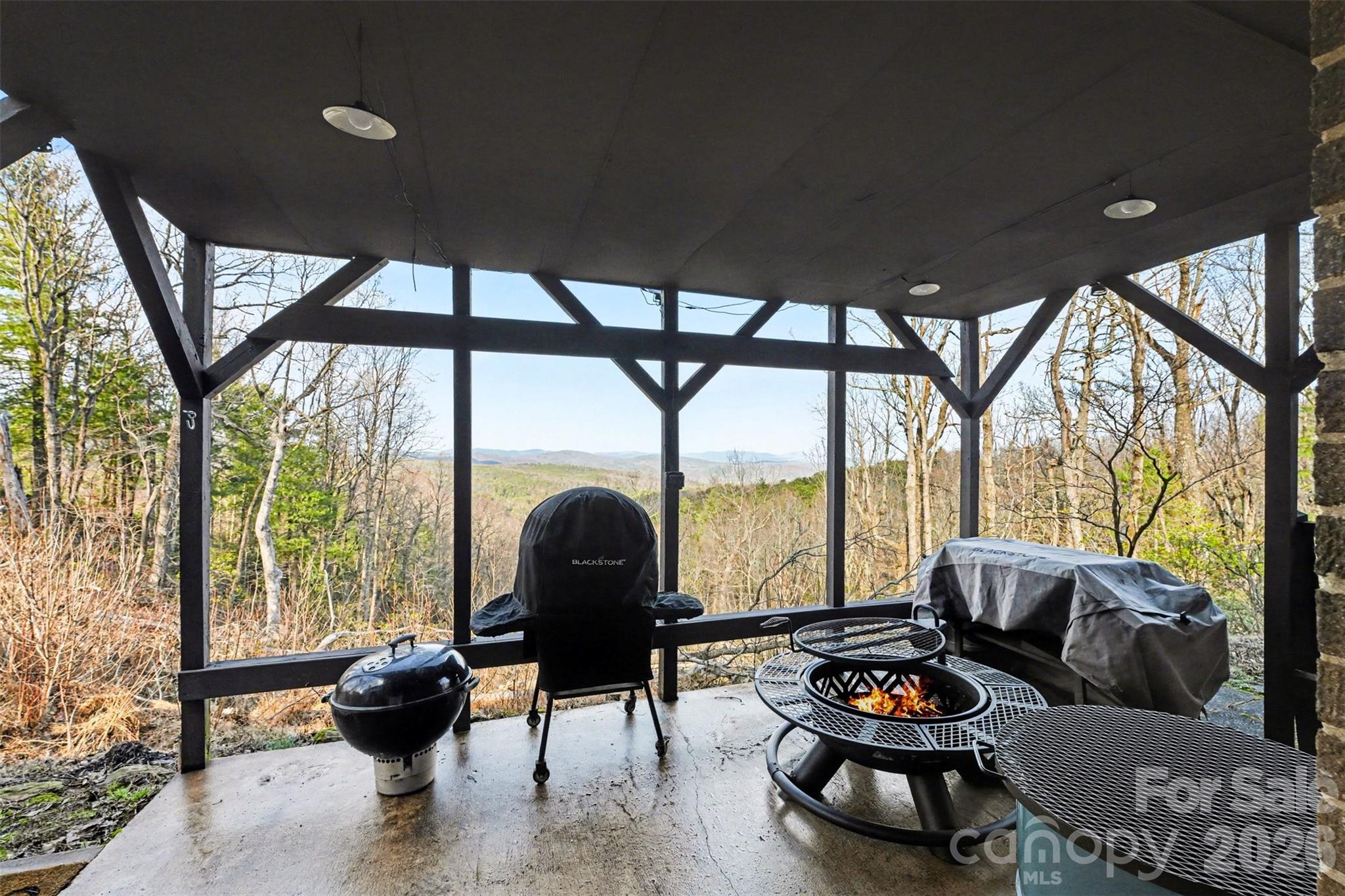 5475 Pine Ridge Drive Connelly Springs, NC 28612 - Photo 25 of 30