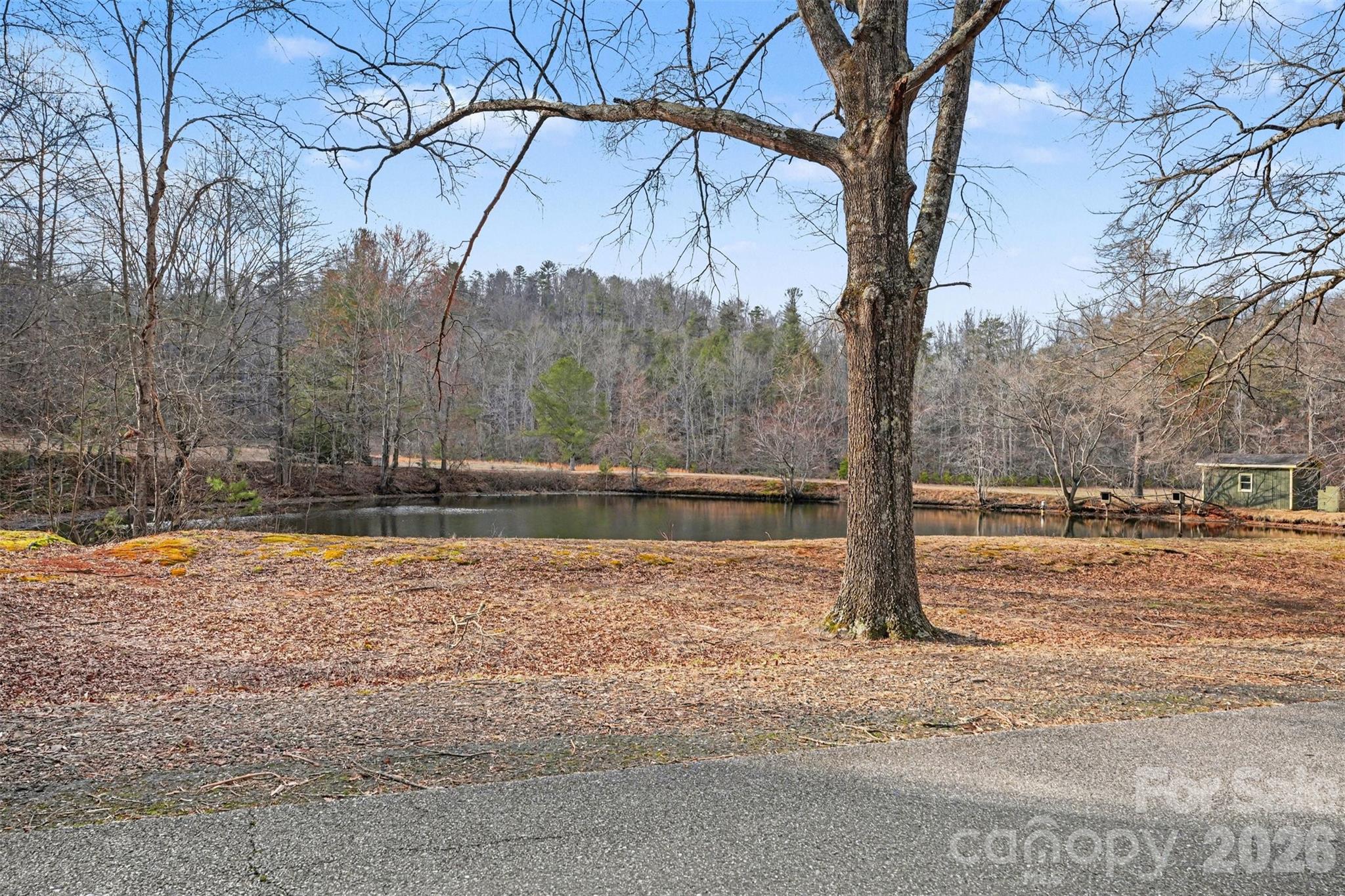 5475 Pine Ridge Drive Connelly Springs, NC 28612 - Photo 28 of 30