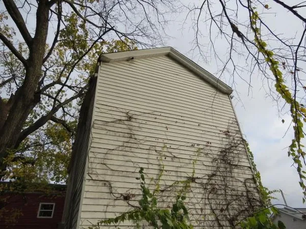 a view of a yard