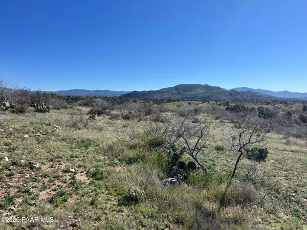 a view of a mountain in the distance