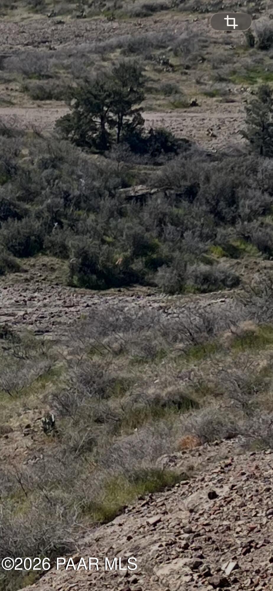 0 South Walnut Grove Road Kirkland, AZ 86332 - Photo 7 of 15 a view of a dry yard