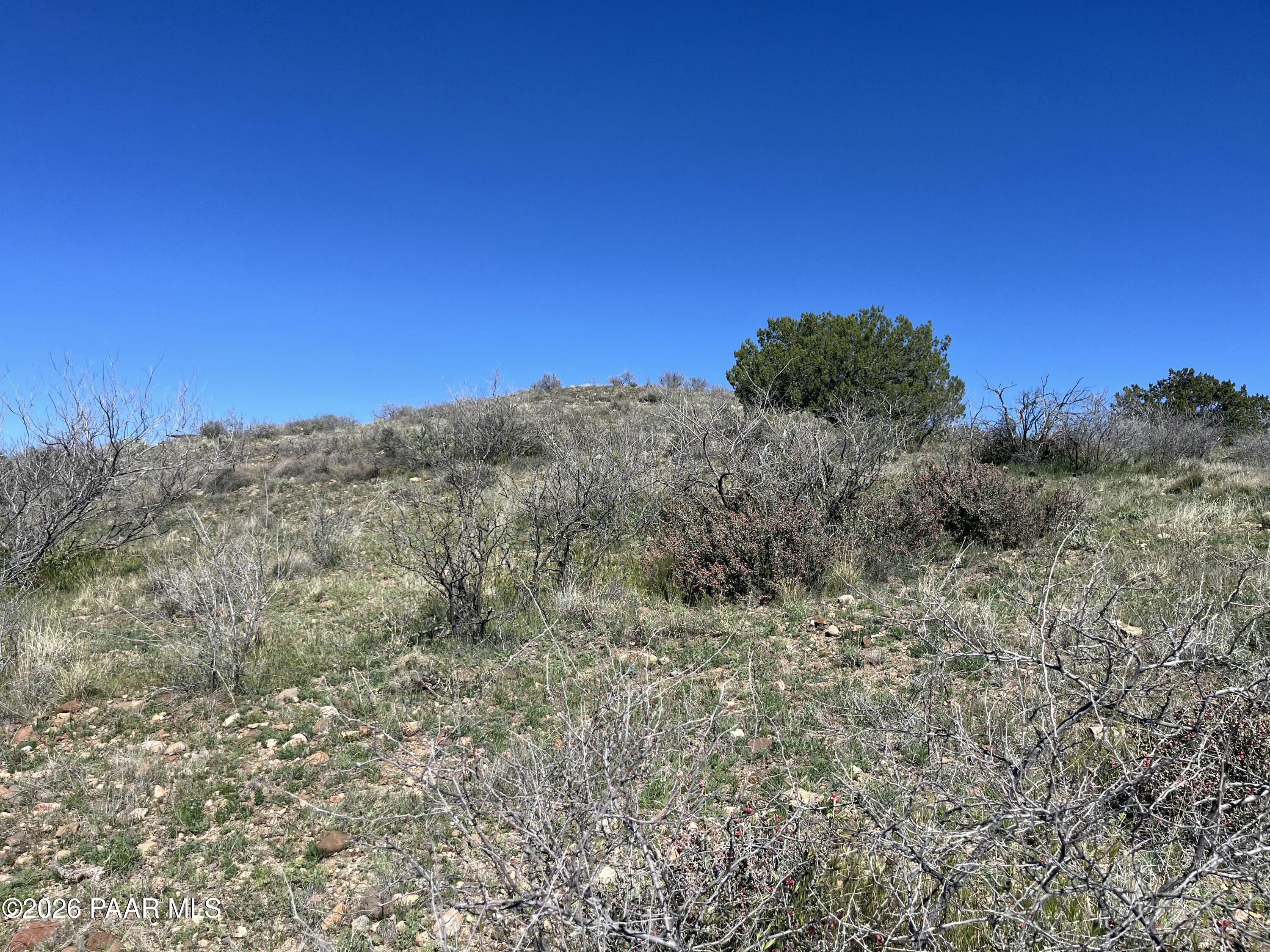 0 South Walnut Grove Road Kirkland, AZ 86332 - Photo 9 of 15 a view of a dry yard with trees