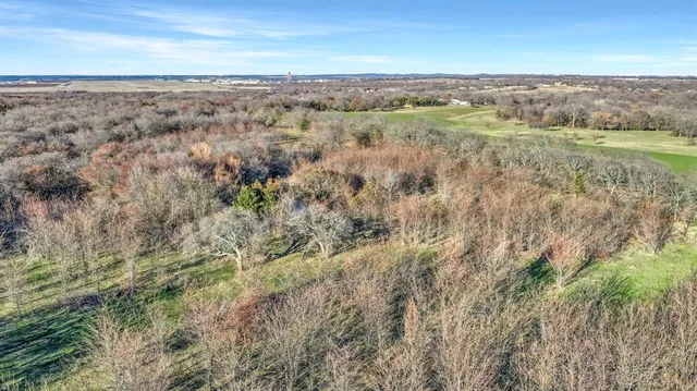 a view of a yard with trees in front of it