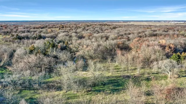 $2,350,000 | 87 Acres Reynolds Lane, Sherman, TX 75092