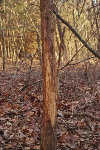 $360,000 | 0 Cc Highway, Milan, MO 63556