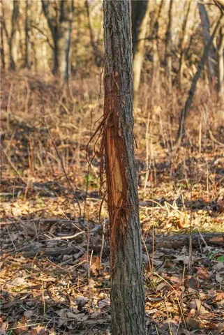 $360,000 | 0 Cc Highway, Milan, MO 63556