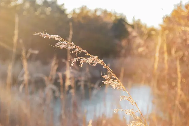 $360,000 | 0 Cc Highway, Milan, MO 63556