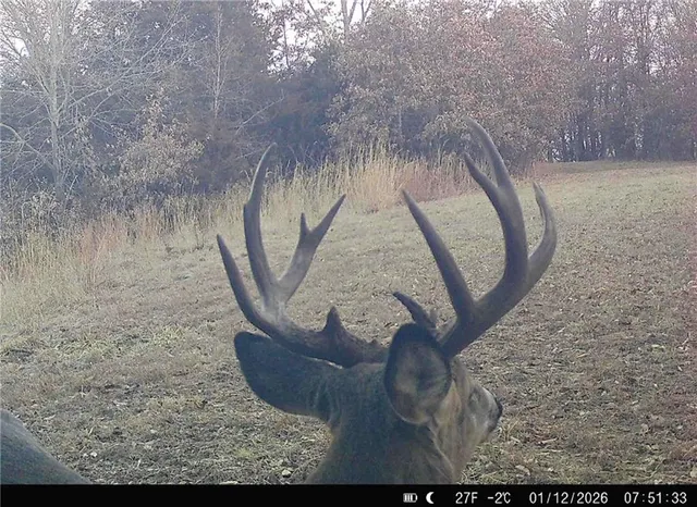 $360,000 | 0 Cc Highway, Milan, MO 63556