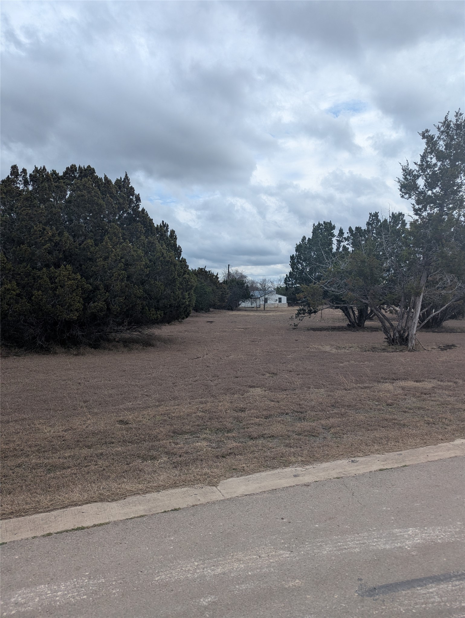 111 Rose Drive Dripping Springs, TX 78620 - Photo 3 of 15