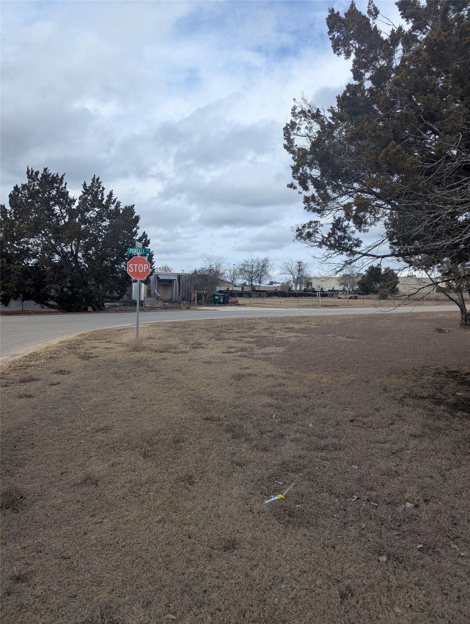 111 Rose Drive Dripping Springs, TX 78620 - Photo 4 of 15