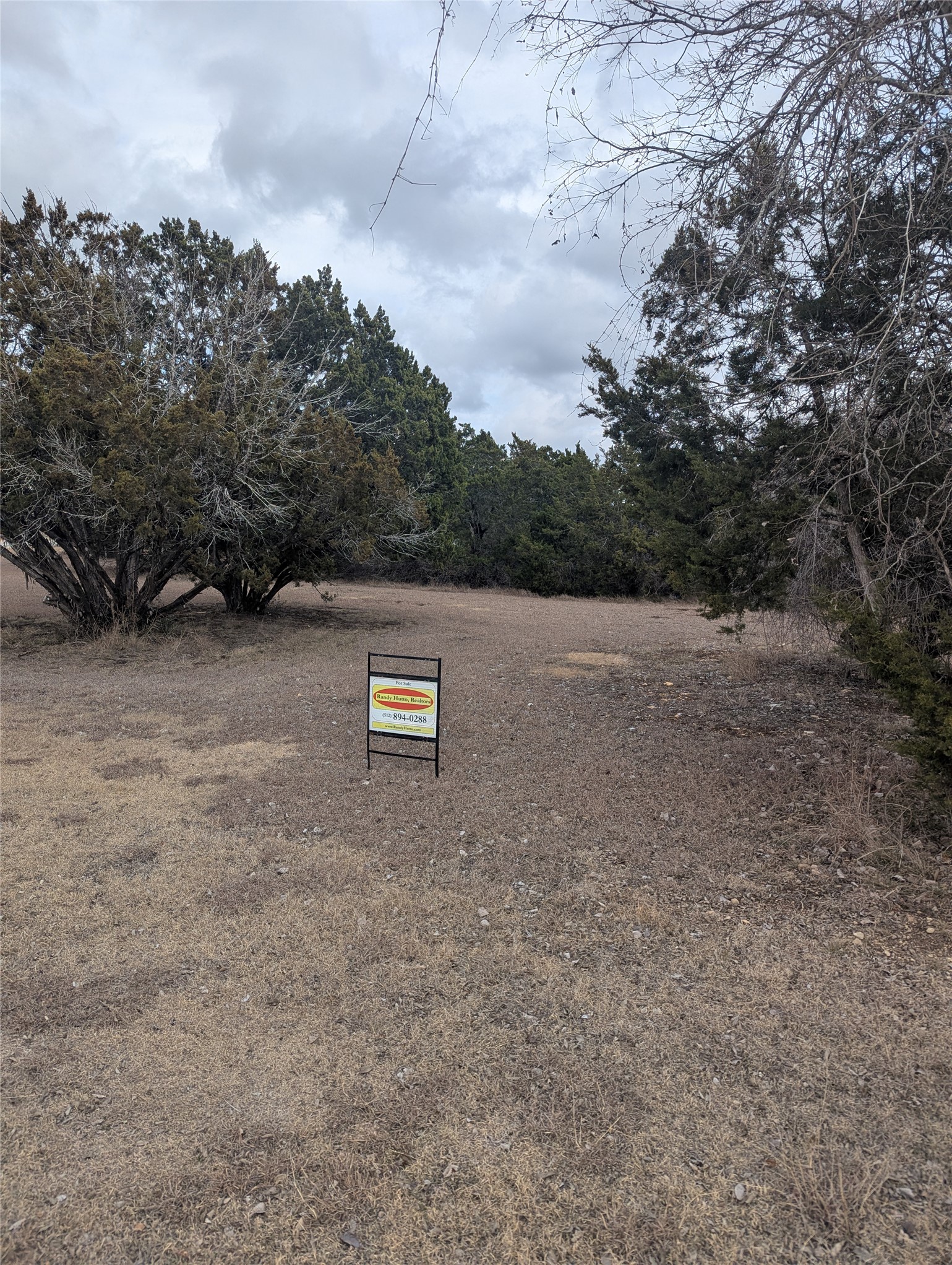 111 Rose Drive Dripping Springs, TX 78620 - Photo 5 of 15