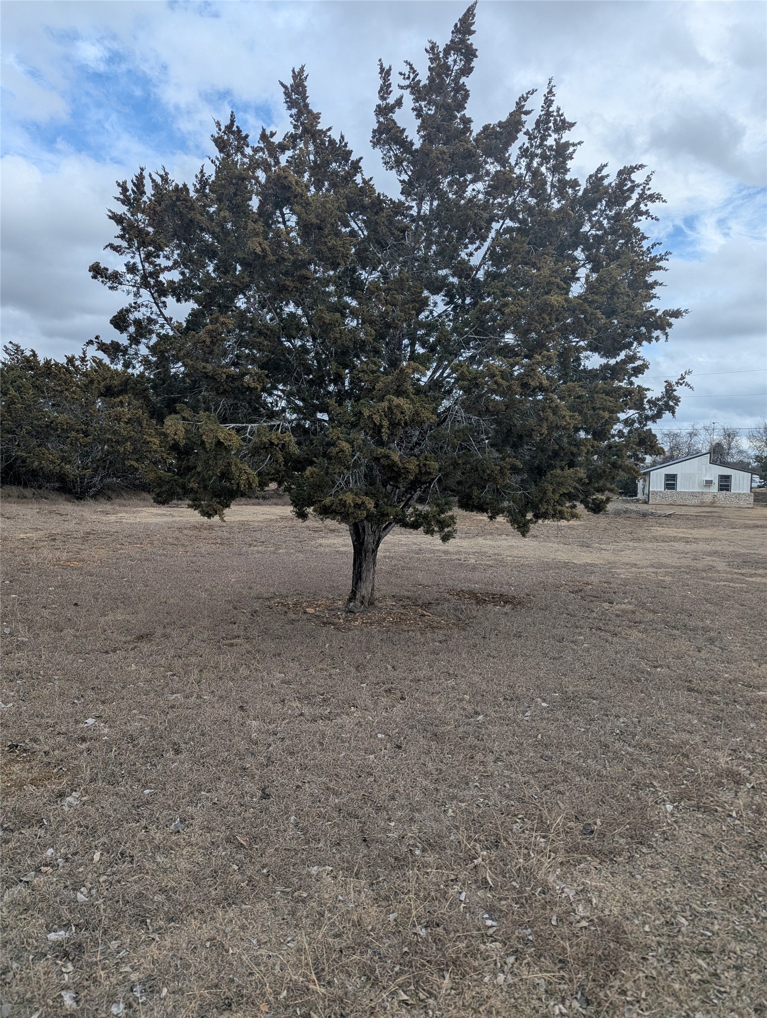 111 Rose Drive Dripping Springs, TX 78620 - Photo 6 of 15