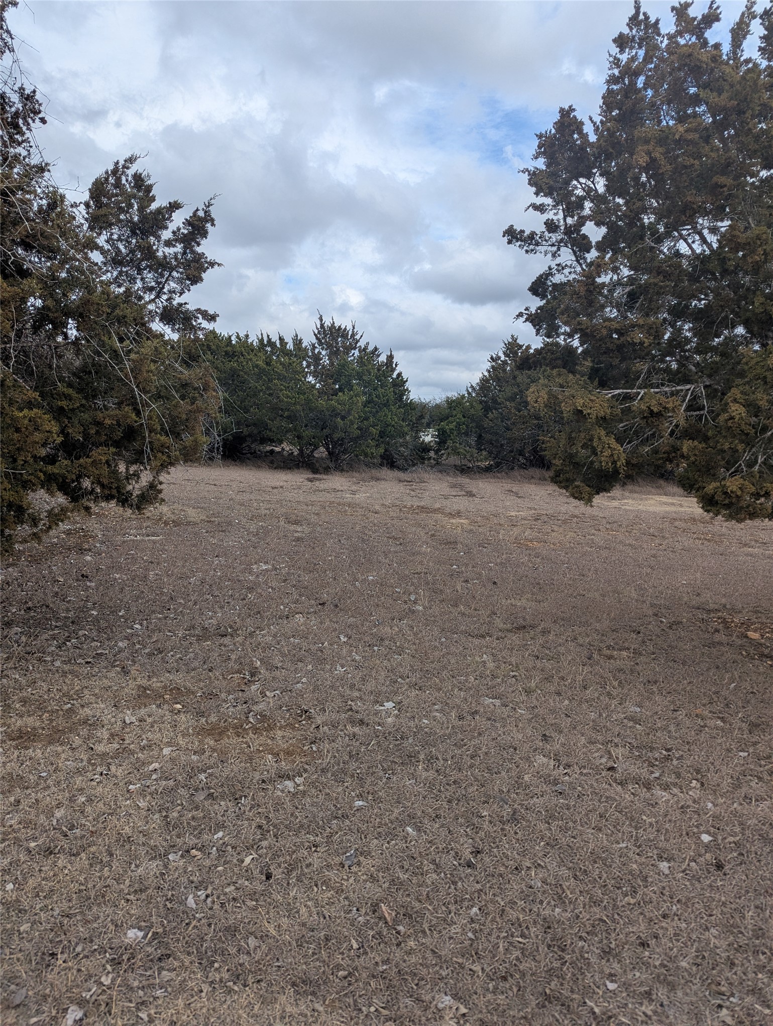 111 Rose Drive Dripping Springs, TX 78620 - Photo 7 of 15