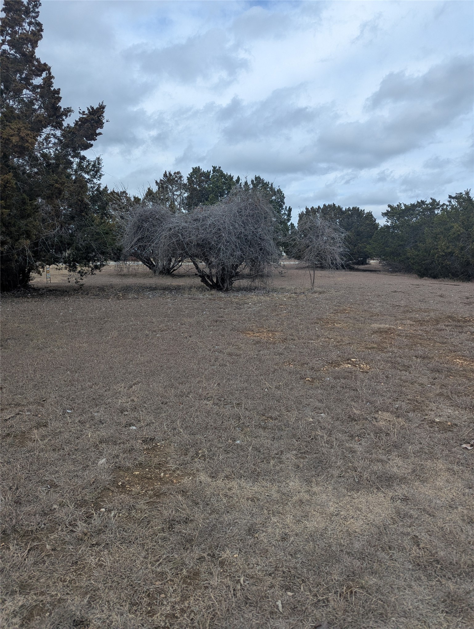 111 Rose Drive Dripping Springs, TX 78620 - Photo 9 of 15