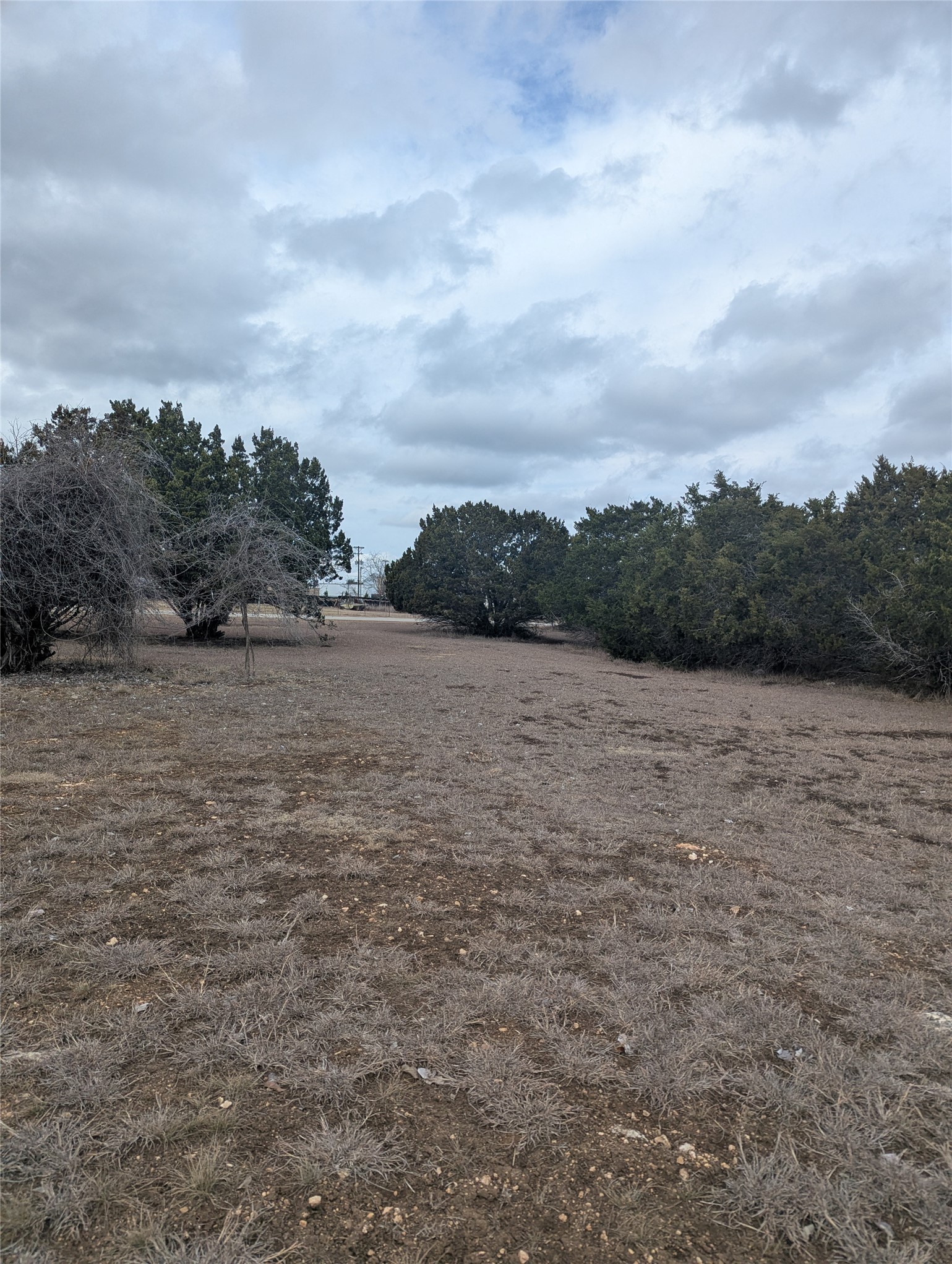 111 Rose Drive Dripping Springs, TX 78620 - Photo 10 of 15