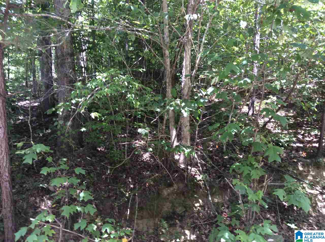0 Rolling Hills Drive, Unit TRACT 2A Springville, AL 35146 - Photo 4 of 8