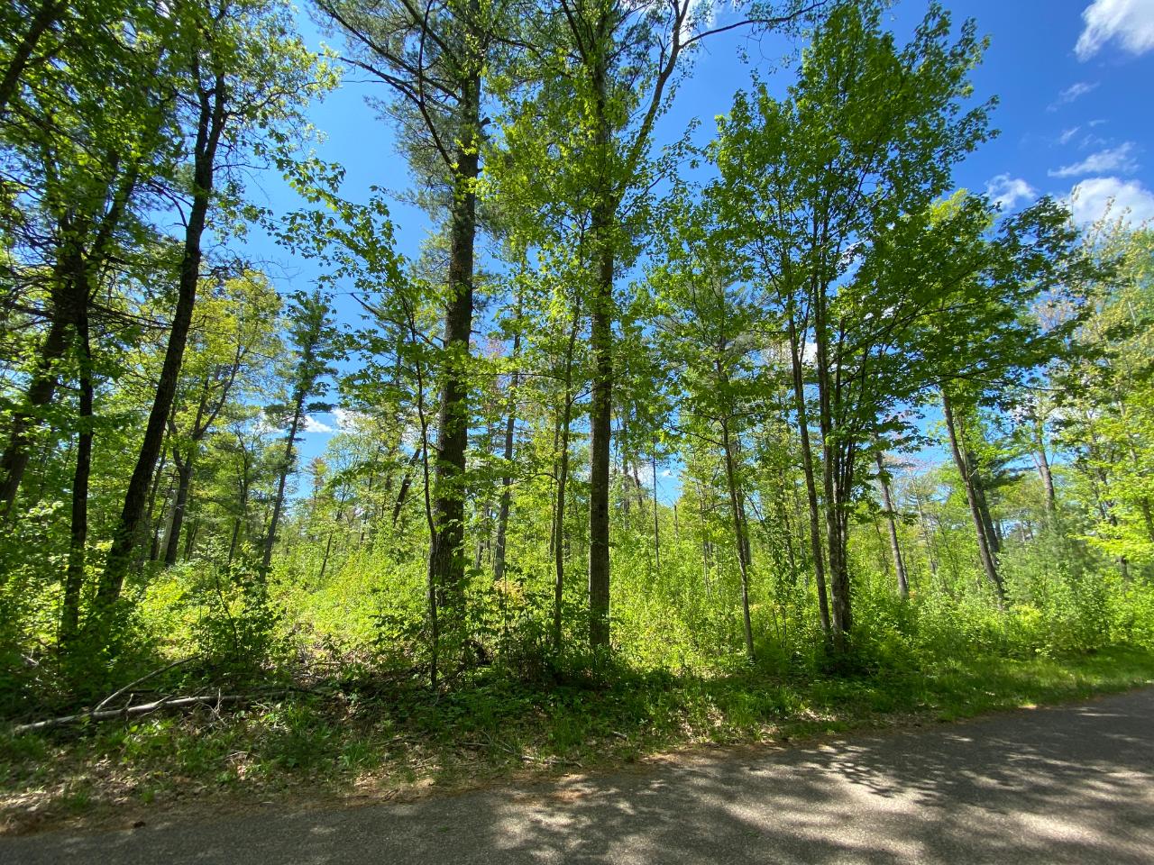 On Pigeon Road Lake Tomahawk, WI 54539 - Photo 1 of 4 Gallery Image 1