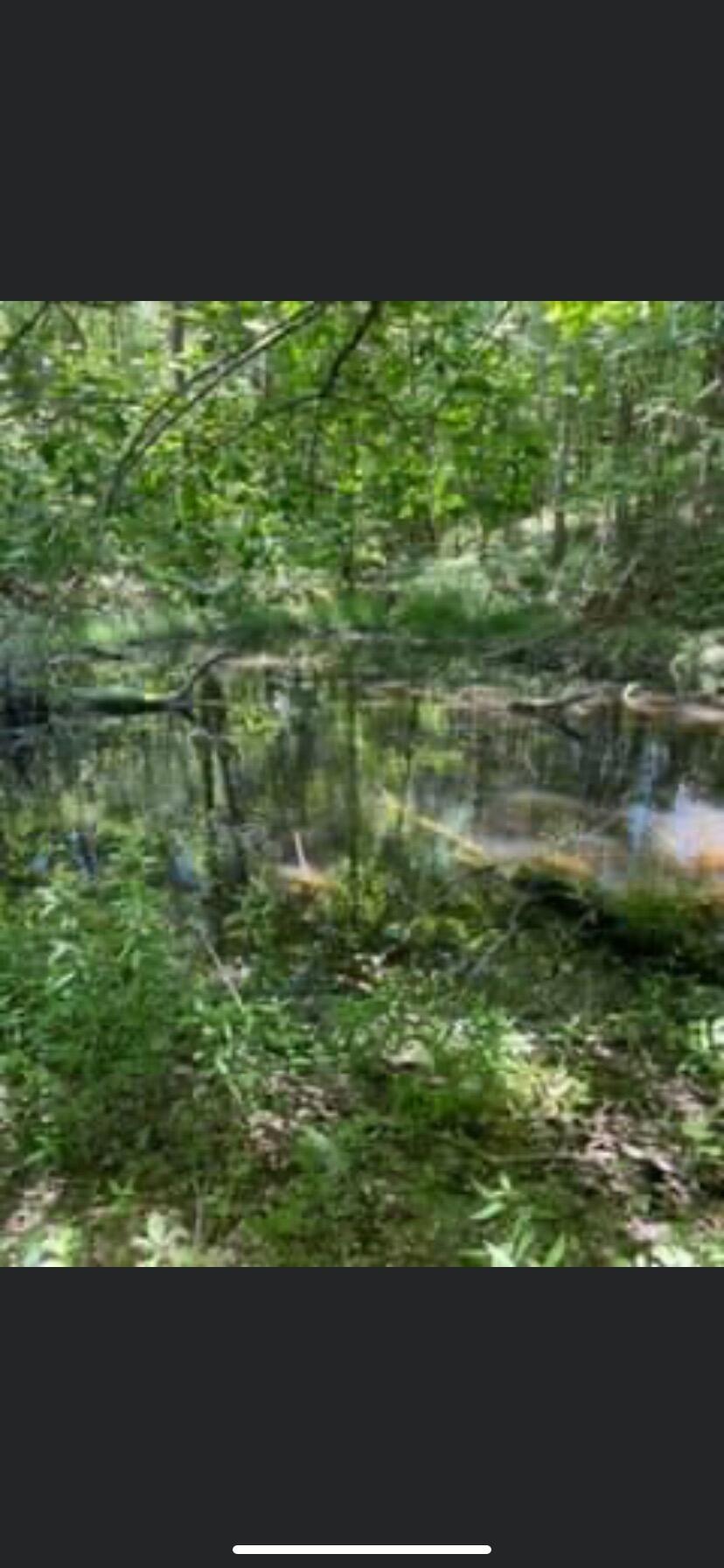3759 Sweet Water Road Berea, KY 40403 - Photo 9 of 14 water source