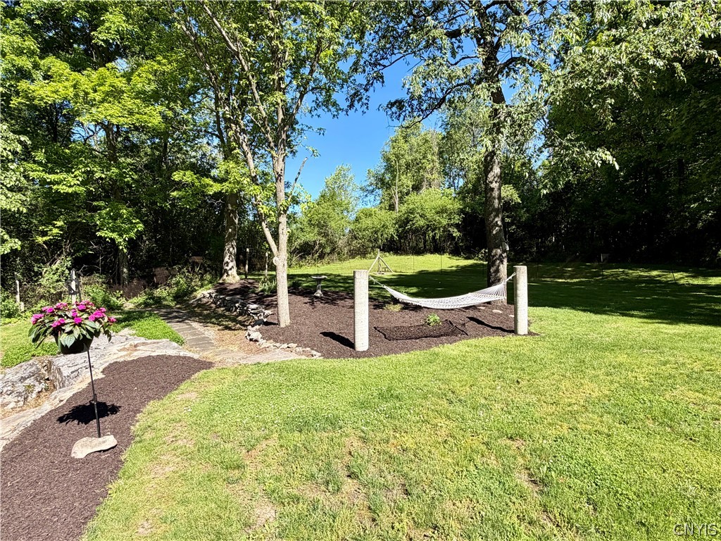 5107 Harris Road Onondaga, NY 13031 - Photo 7 of 40 Backyard