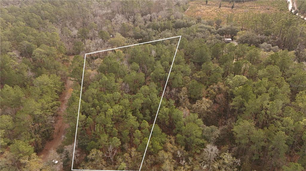 Southeast 68th Terrace White Springs, FL 32096 - Photo 2 of 6 a bathroom with a shower
