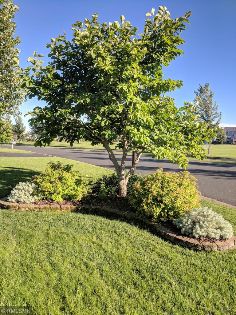12862 Flay Road North Hugo, MN 55038 - Photo 8 of 22 Gallery Image 8