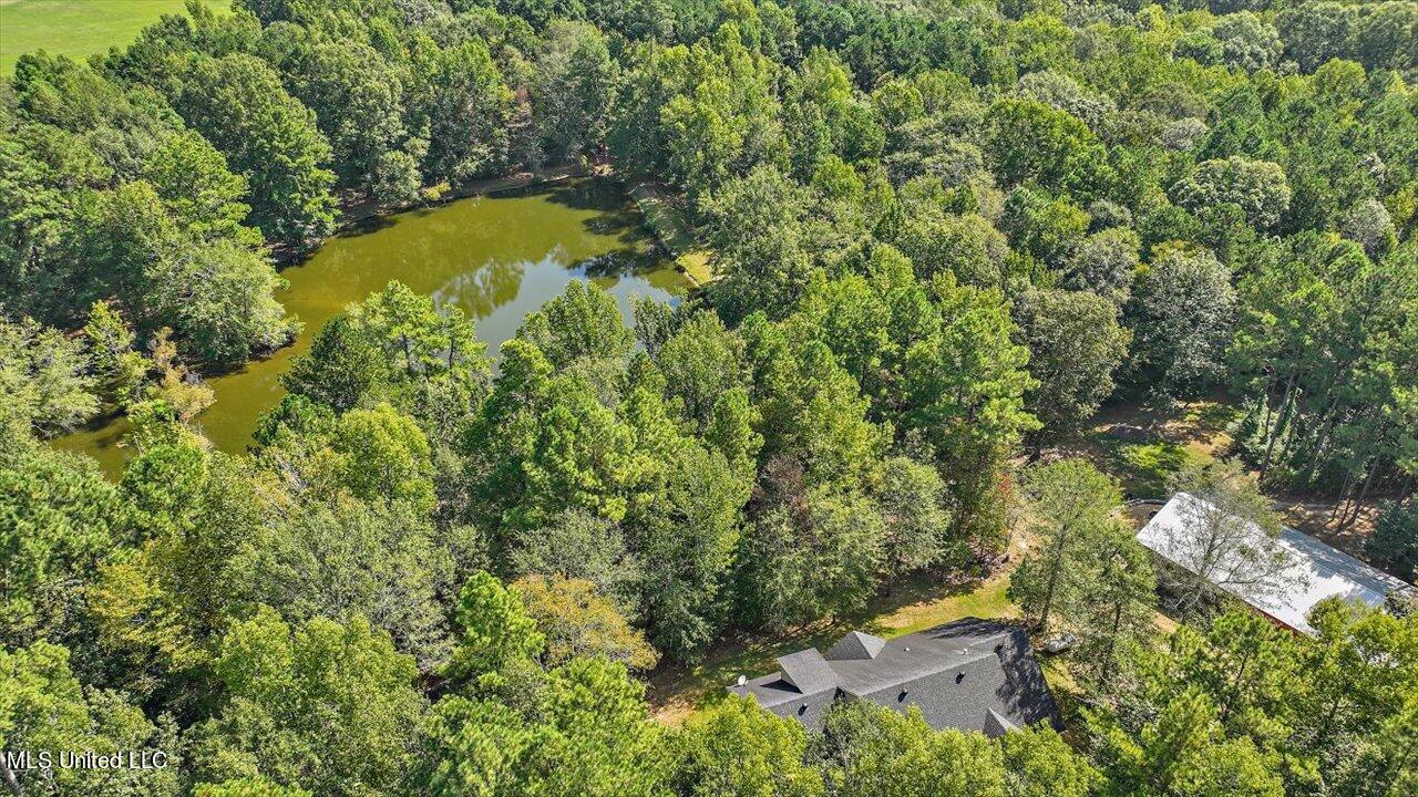 2568 Highway 481 Raleigh, MS 39153 - Photo 11 of 89 097-2568 Highway 481