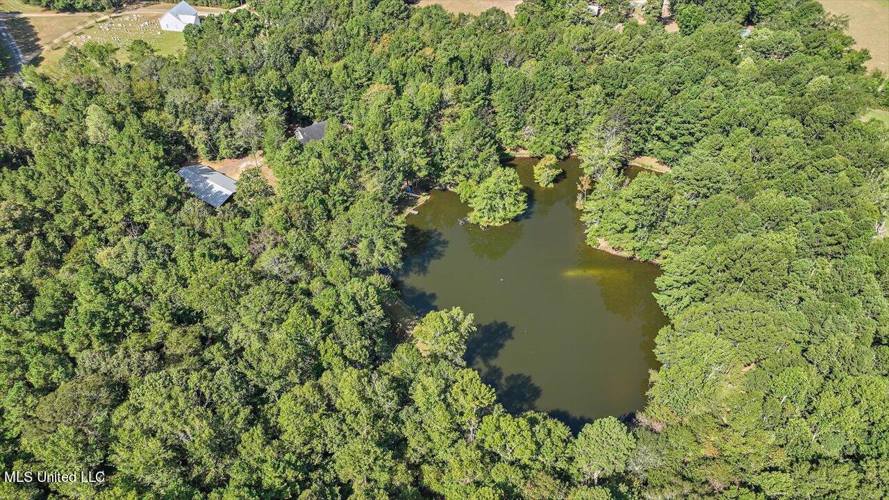 2568 Highway 481 Raleigh, MS 39153 - Photo 12 of 89 088-2568 Highway 481