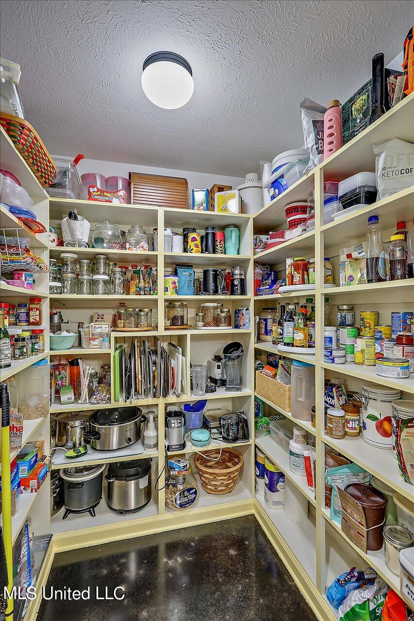 2568 Highway 481 Raleigh, MS 39153 - Photo 25 of 89 Walk In Pantry