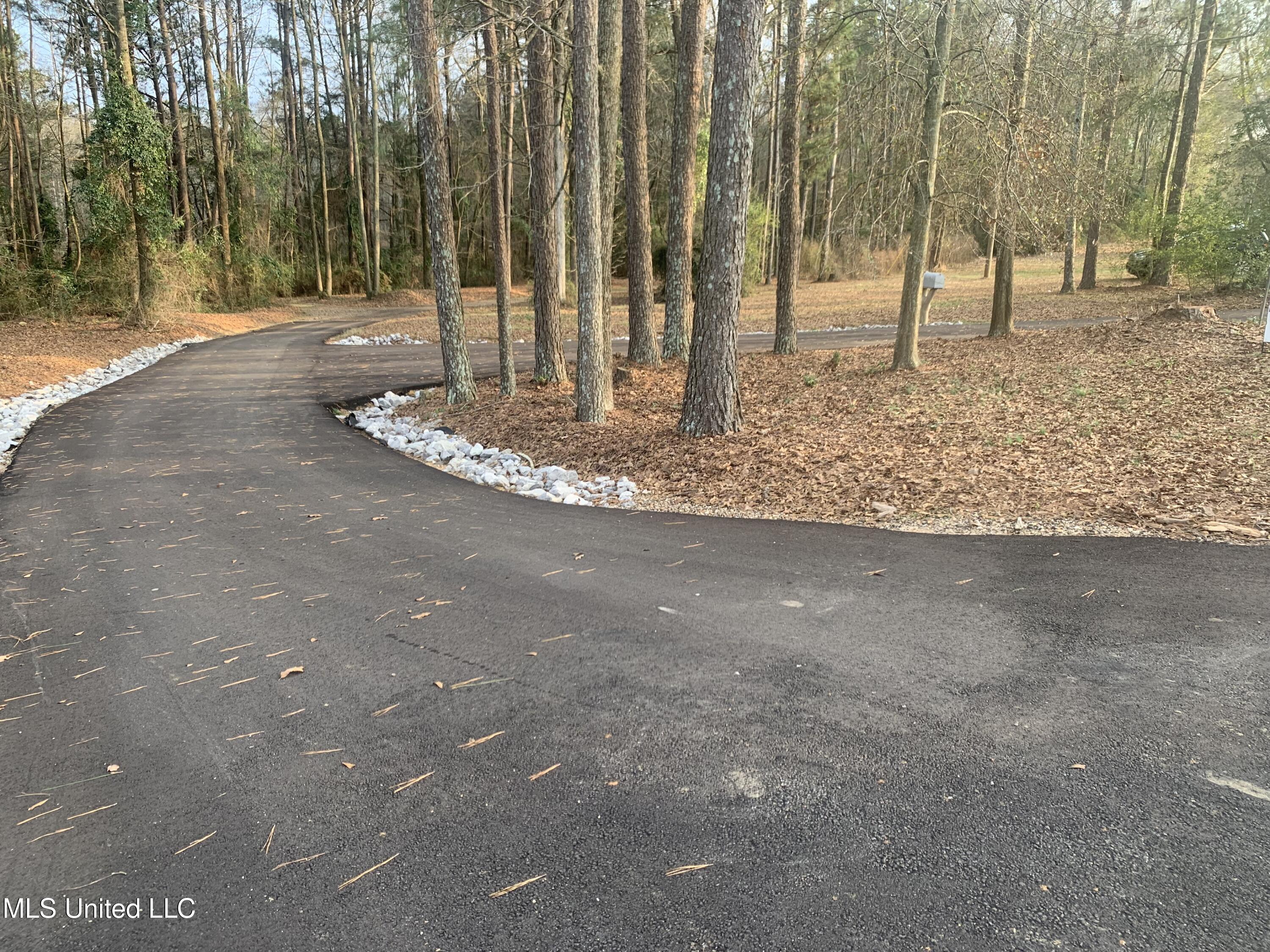 2568 Highway 481 Raleigh, MS 39153 - Photo 4 of 89 Beautiful Double Entry Driveway