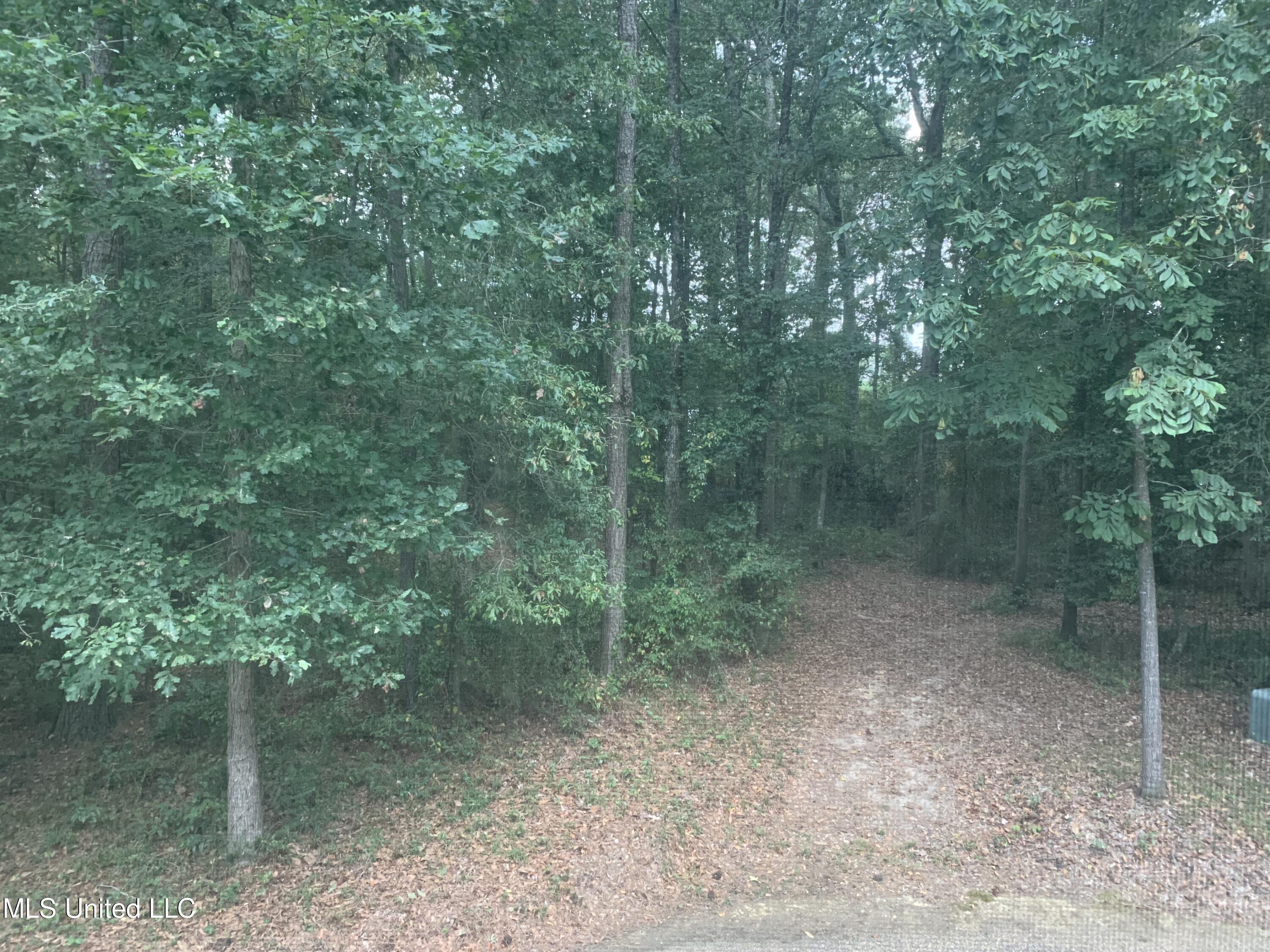 2568 Highway 481 Raleigh, MS 39153 - Photo 46 of 89 View Second Floor