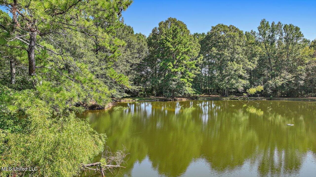 2568 Highway 481 Raleigh, MS 39153 - Photo 79 of 89 107-2568 Highway 481