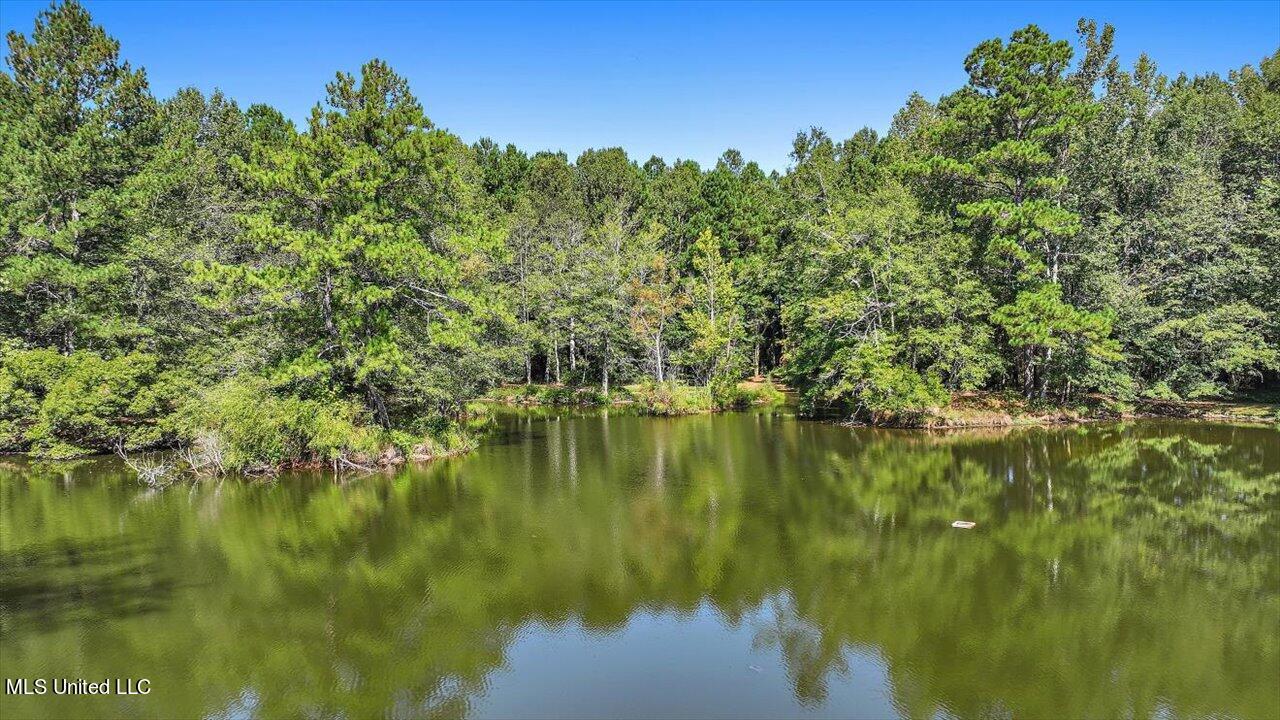 2568 Highway 481 Raleigh, MS 39153 - Photo 81 of 89 109-2568 Highway 481