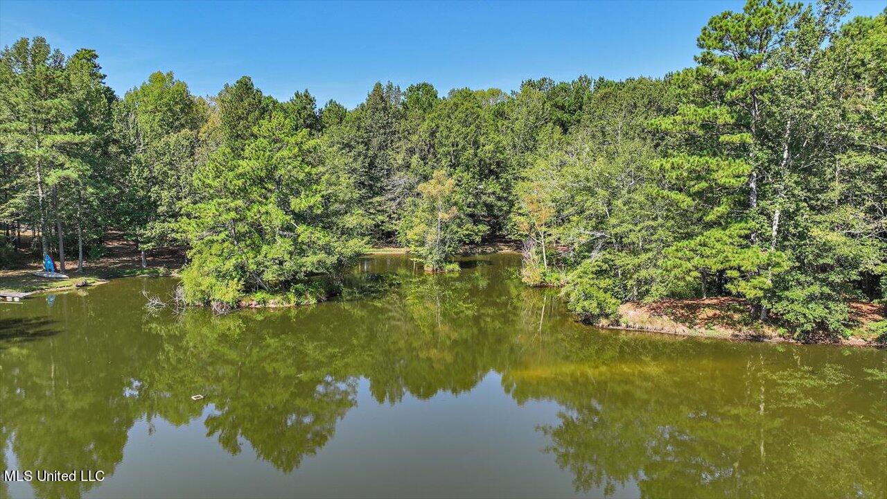 2568 Highway 481 Raleigh, MS 39153 - Photo 82 of 89 102-2568 Highway 481