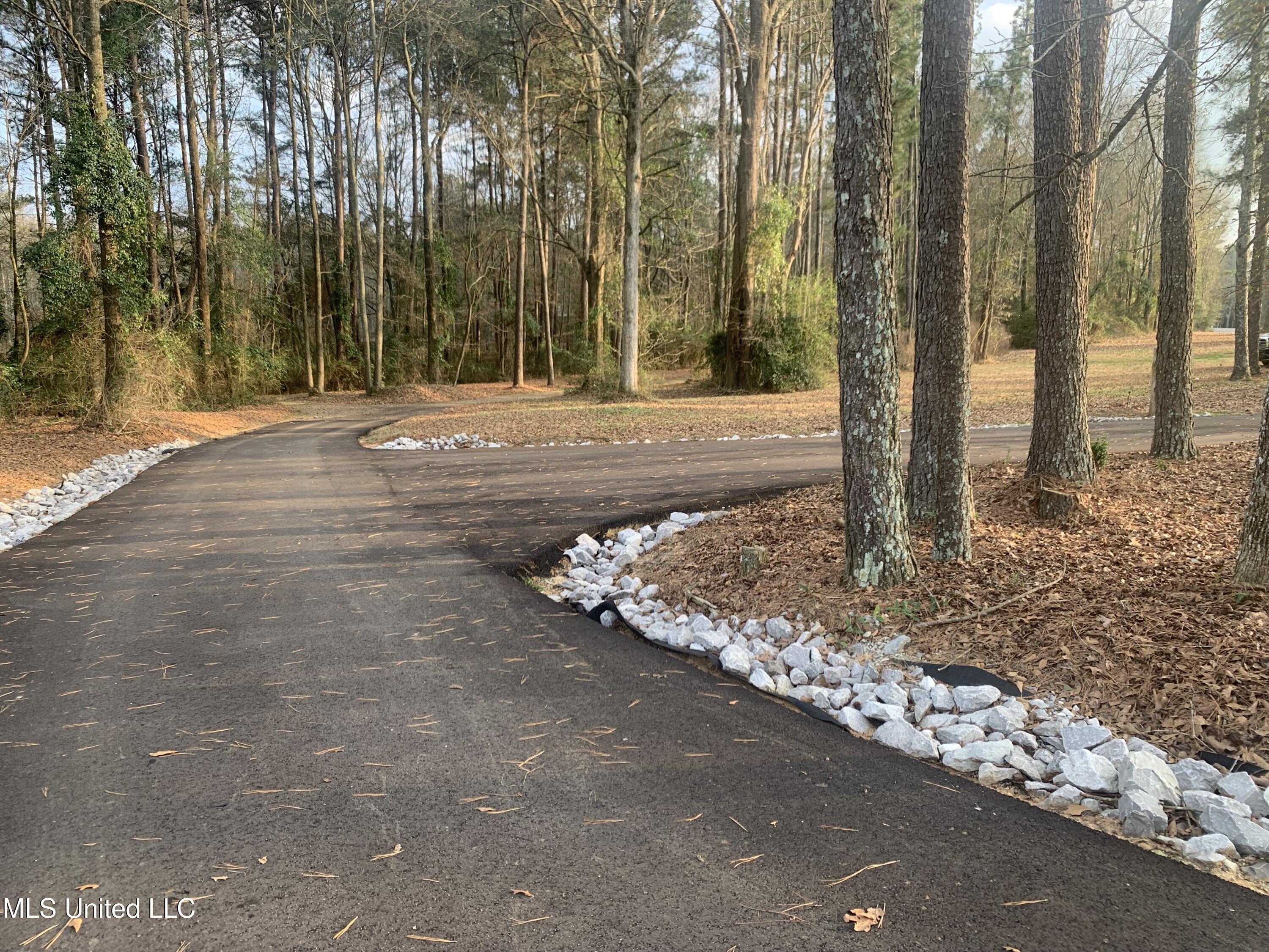 2568 Highway 481 Raleigh, MS 39153 - Photo 85 of 89 Driveway Entrance