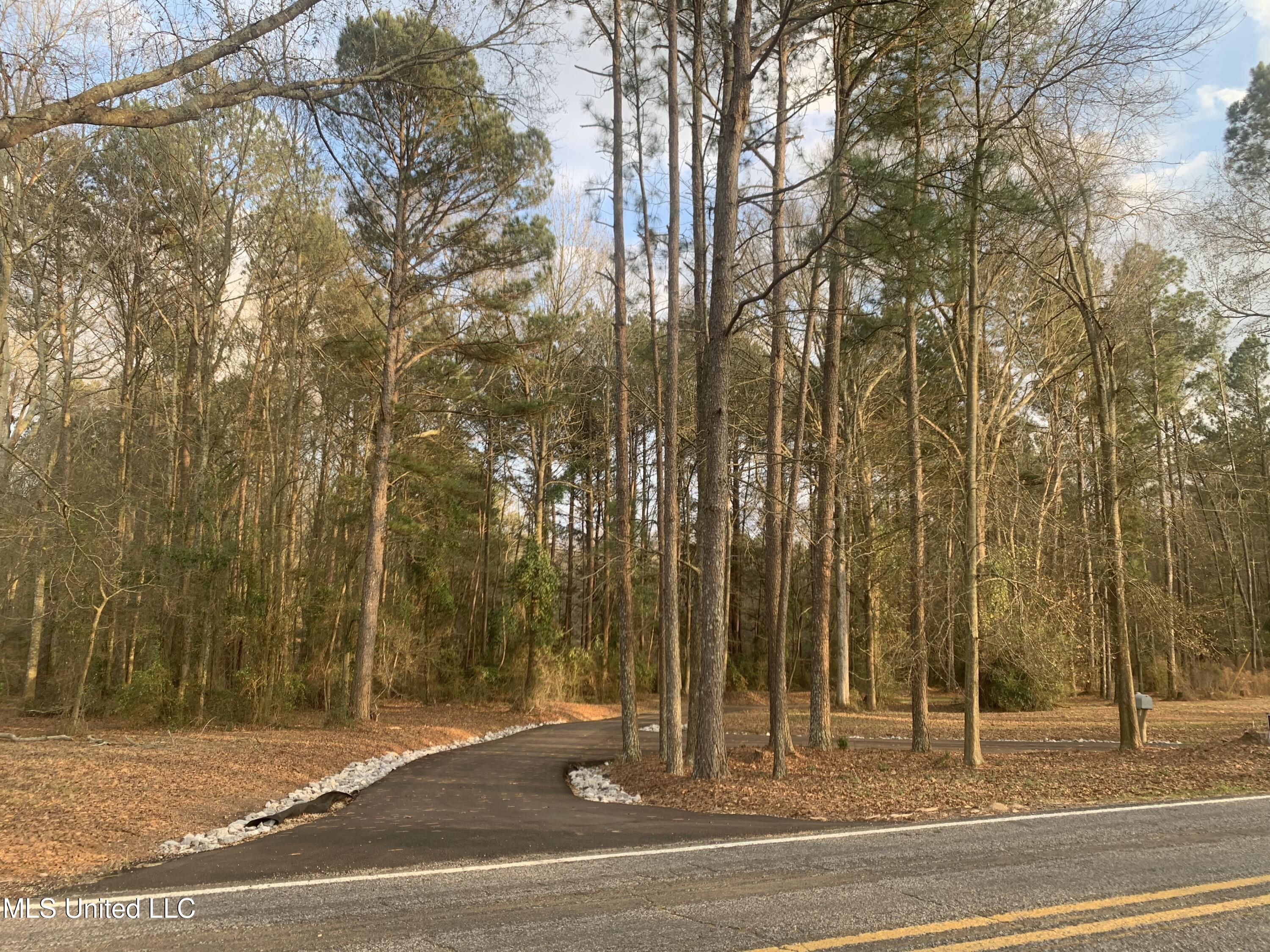 2568 Highway 481 Raleigh, MS 39153 - Photo 89 of 89 Double Entry Driveway