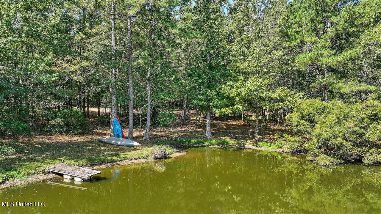 2568 Highway 481 Raleigh, MS 39153 - Photo 10 of 89 105-2568 Highway 481