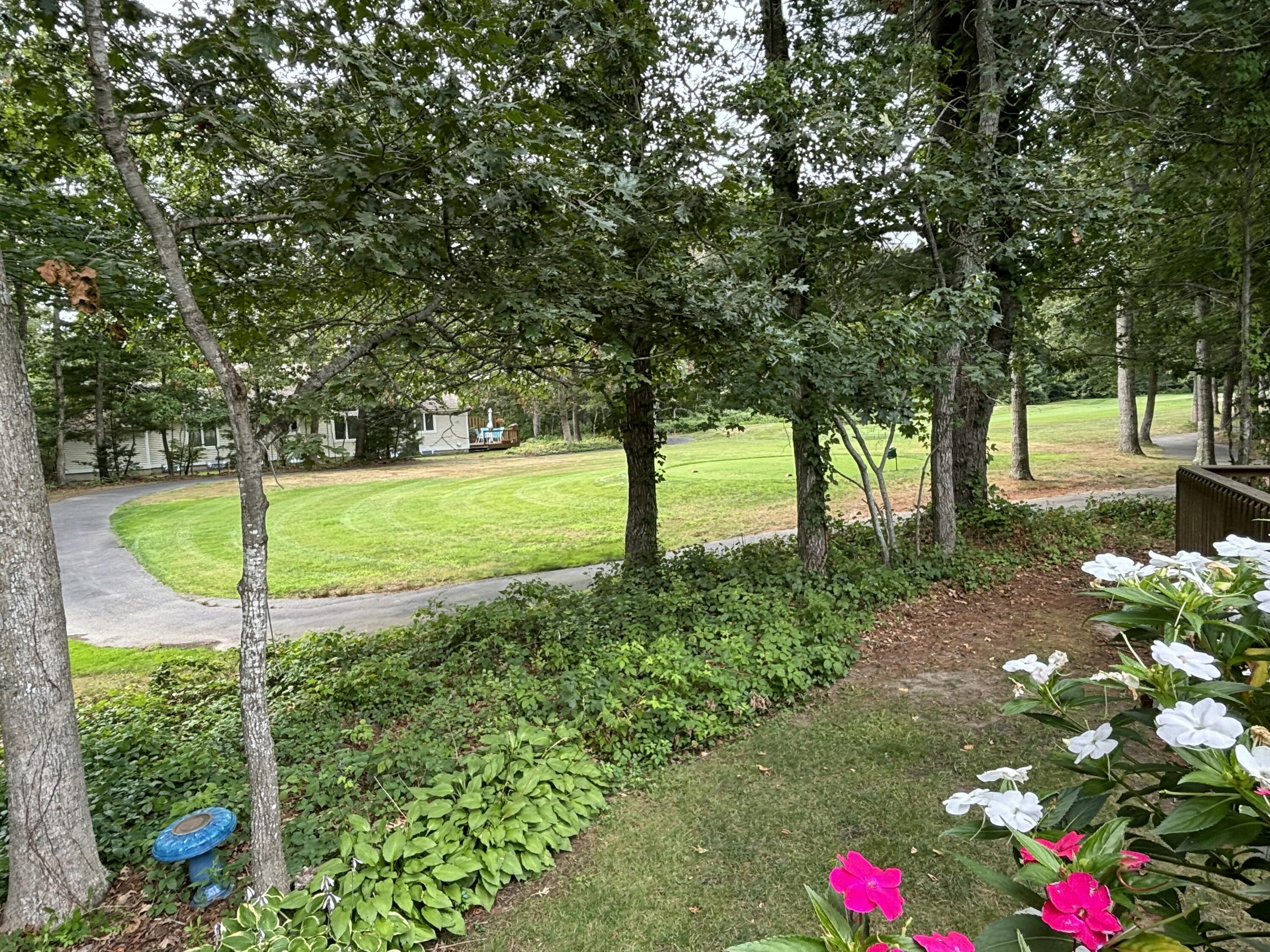 14 Pga Lane Mashpee, MA 02649 - Photo 2 of 14 a view of a tree in a yard