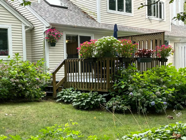 a front view of a house having yard