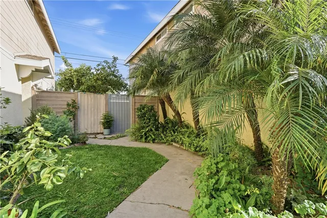 a view of a yard with plants