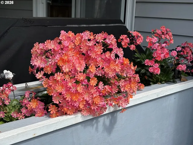 $378,900 | 2360 High Street, Reedsport, OR 97467